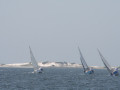 IMG 3988
