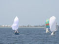 IMG 3991