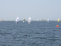 IMG 3993