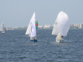 IMG 3994