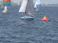 IMG 3998