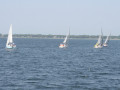 IMG 4010
