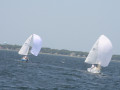 IMG 4012