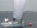 IMG 4014