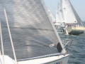 IMG 4061