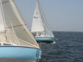 IMG 4064