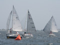 IMG 4079