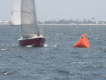 IMG 4088