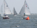 IMG 4095