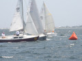 IMG 4097