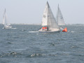IMG 4104