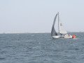 IMG 4105