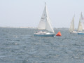 IMG 4107