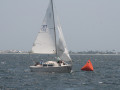 IMG 4114
