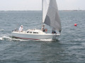 IMG 4124
