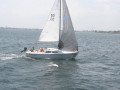 IMG 4126