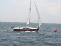 IMG 4128