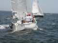 IMG 4133