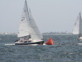 IMG 4152