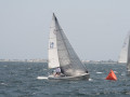 IMG 4153