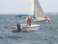 IMG 4154