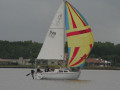 IMG 3378