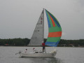 IMG 3381