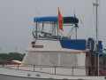 IMG 3390