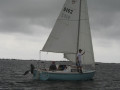 IMG 3394