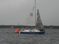 IMG 3423