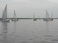 IMG 3427