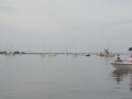 IMG 3446