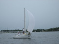 IMG 5012