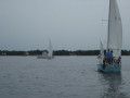 IMG 5019
