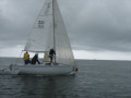 IMG 5029