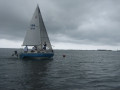 IMG 5031