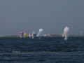 DSC 1020