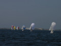 DSC 1021