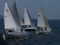 DSC 1049
