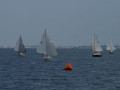 DSC 1060