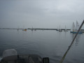 IMG 5049