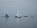 IMG 5053