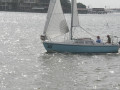 IMG 4417