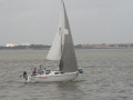 IMG 4418