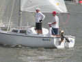 IMG 4420