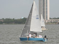 IMG 4436
