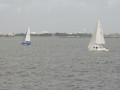 IMG 4437