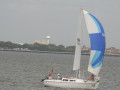 IMG 4443