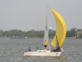 IMG 4446