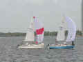 IMG 4448